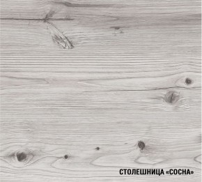 АСАЯ Кухонный гарнитур Экстра 2 (3000 мм) ПМ в Нижнем Тагиле - nizhniy-tagil.ok-mebel.com | фото 8