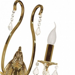 Бра Arti Lampadari Ercolano Ercolano E 2.1.2.602 G в Нижнем Тагиле - nizhniy-tagil.ok-mebel.com | фото 8