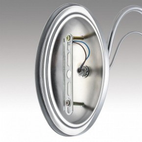 Бра Lumion INCANTO 8034/1W в Нижнем Тагиле - nizhniy-tagil.ok-mebel.com | фото 7