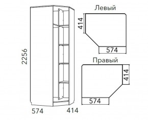 Детская Фанк Шкаф угловой Левый/Правый НМ 013.04-02 М в Нижнем Тагиле - nizhniy-tagil.ok-mebel.com | фото 3