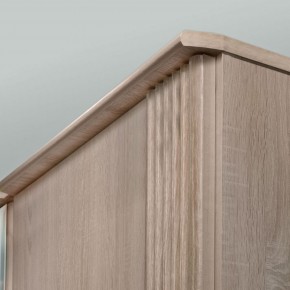 ДИАНА Д11 Шкаф для одежды в Нижнем Тагиле - nizhniy-tagil.ok-mebel.com | фото 6
