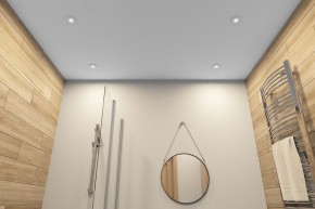 DK2036-WH Встраиваемый светильник влагозащ., IP 44, до 15 Вт, GU10, LED, белый, алюминий в Нижнем Тагиле - nizhniy-tagil.ok-mebel.com | фото 5