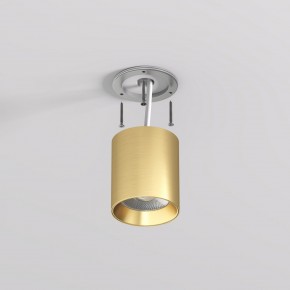 DK2610-SB Накладной светильник SHINE TUBE со светодиодом, D70*H80, IP20, 3000К, 10W, RA?90, сатинированная латунь, алюминий в Нижнем Тагиле - nizhniy-tagil.ok-mebel.com | фото 3