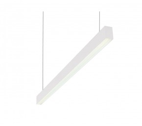 DK9124-WH Линейный светильник 30W 1250mm 4000K, белый в Нижнем Тагиле - nizhniy-tagil.ok-mebel.com | фото