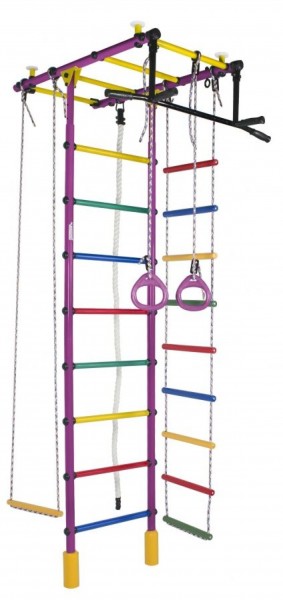 ДСК Атлант цв.фиолетовый радуга: турник, кольца, канат, трапеция, веревочная лестница в Нижнем Тагиле - nizhniy-tagil.ok-mebel.com | фото