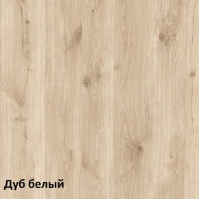 Эйп Шкаф комбинированный 13.14 в Нижнем Тагиле - nizhniy-tagil.ok-mebel.com | фото 4