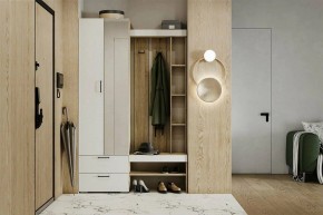 Гарнитур для прихожей Торонто в Нижнем Тагиле - nizhniy-tagil.ok-mebel.com | фото 5