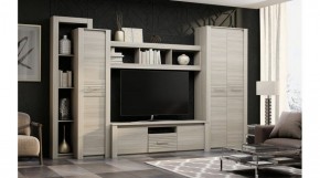 ЭЛИС Гостиная в Нижнем Тагиле - nizhniy-tagil.ok-mebel.com | фото 2