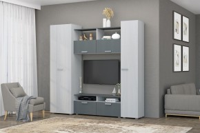 Гостиная Эмми (Анкор светлый/Графит) в Нижнем Тагиле - nizhniy-tagil.ok-mebel.com | фото