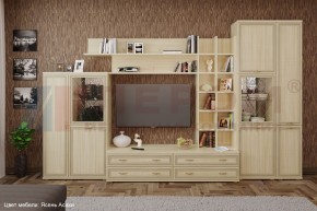 Гостиная Карина Композиция 5 (Ясень Асахи) в Нижнем Тагиле - nizhniy-tagil.ok-mebel.com | фото