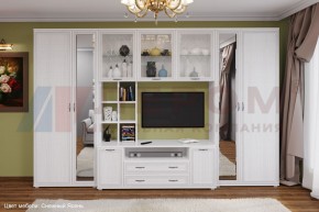 Гостиная Карина Композиция 6 (Снежный ясень) в Нижнем Тагиле - nizhniy-tagil.ok-mebel.com | фото