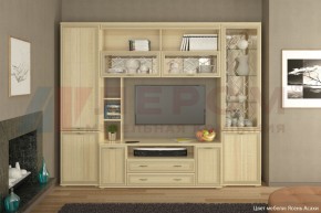 Гостиная Карина Композиция 9 (Ясень Асахи) в Нижнем Тагиле - nizhniy-tagil.ok-mebel.com | фото