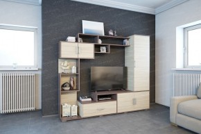 Гостиная Пекин (ЭРА) в Нижнем Тагиле - nizhniy-tagil.ok-mebel.com | фото 2