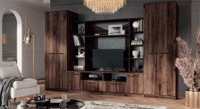 ПРЕМЬЕР Гостиная (Дуб Самдал) в Нижнем Тагиле - nizhniy-tagil.ok-mebel.com | фото
