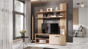 КАРОЛИНА Гостиная (дуб вотан/кашемир) в Нижнем Тагиле - nizhniy-tagil.ok-mebel.com | фото