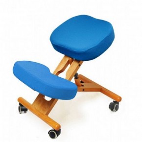 Коленный стул Smartstool KW02 + Чехлы в Нижнем Тагиле - nizhniy-tagil.ok-mebel.com | фото