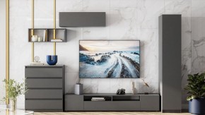 Комод Сибити в Нижнем Тагиле - nizhniy-tagil.ok-mebel.com | фото 5