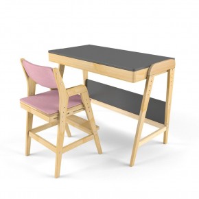 Комплект растущий стол и стул с чехлом 38 попугаев «Вуди» (Серый, Береза, Розовый) в Нижнем Тагиле - nizhniy-tagil.ok-mebel.com | фото