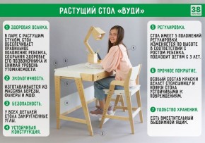 Комплект растущий стол и стул с чехлом 38 попугаев «Вуди» (Серый, Береза, Салют) в Нижнем Тагиле - nizhniy-tagil.ok-mebel.com | фото