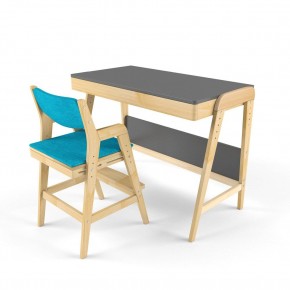 Комплект растущий стол и стул с чехлом 38 попугаев «Вуди» (Серый, Без покрытия, Лазурь) в Нижнем Тагиле - nizhniy-tagil.ok-mebel.com | фото