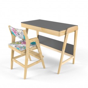 Комплект растущий стол и стул с чехлом 38 попугаев «Вуди» (Серый, Без покрытия, Мечта) в Нижнем Тагиле - nizhniy-tagil.ok-mebel.com | фото