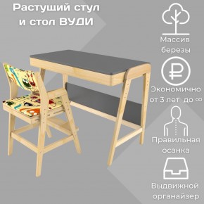 Комплект растущий стол и стул с чехлом 38 попугаев «Вуди» (Серый, Без покрытия, Монстры) в Нижнем Тагиле - nizhniy-tagil.ok-mebel.com | фото