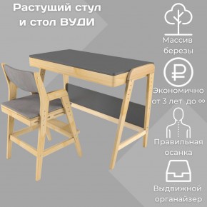 Комплект растущий стол и стул с чехлом 38 попугаев «Вуди» (Серый, Без покрытия, Серый) в Нижнем Тагиле - nizhniy-tagil.ok-mebel.com | фото