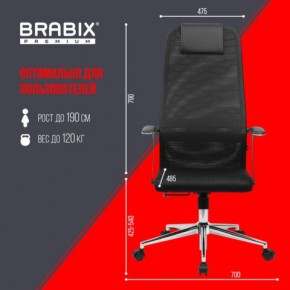 Кресло BRABIX PREMIUM "Ultimate EX-801" хром, плотная двойная сетка Х2, черное, 532917 в Нижнем Тагиле - nizhniy-tagil.ok-mebel.com | фото 7