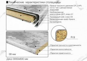 Кухонный фартук со столешницей (А-04) в едином стиле (3050 мм) в Нижнем Тагиле - nizhniy-tagil.ok-mebel.com | фото 6