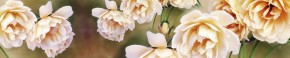 Кухонный фартук Цветы 066 МДФ матовый (3000) Flowers в Нижнем Тагиле - nizhniy-tagil.ok-mebel.com | фото 1