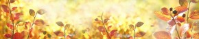 Кухонный фартук Цветы 318 МДФ матовый (3000) Flowers в Нижнем Тагиле - nizhniy-tagil.ok-mebel.com | фото 1
