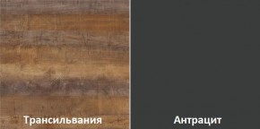 Кухонный гарнитур угловой Трансильвания 2600х1600 мм (Стол. 38 мм) в Нижнем Тагиле - nizhniy-tagil.ok-mebel.com | фото 3