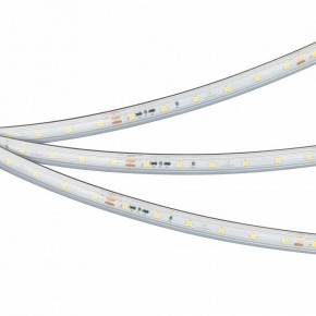 Лента светодиодная Arlight IC-PS-A60-10mm 24V 050656 в Нижнем Тагиле - nizhniy-tagil.ok-mebel.com | фото