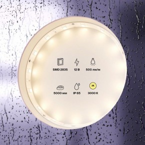 Лента светодиодная Maytoni Led strip 10105 в Нижнем Тагиле - nizhniy-tagil.ok-mebel.com | фото 2