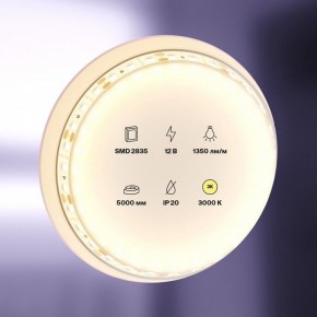 Лента светодиодная Maytoni Led strip 10114 в Нижнем Тагиле - nizhniy-tagil.ok-mebel.com | фото 2