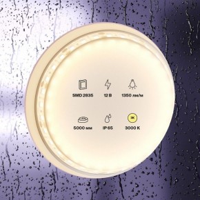 Лента светодиодная Maytoni Led strip 10117 в Нижнем Тагиле - nizhniy-tagil.ok-mebel.com | фото 2