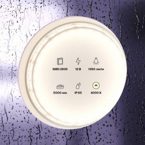 Лента светодиодная Maytoni Led strip 10118 в Нижнем Тагиле - nizhniy-tagil.ok-mebel.com | фото 2