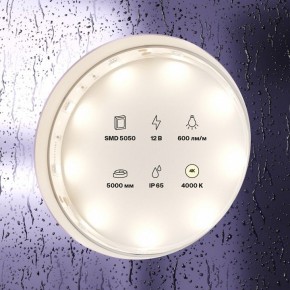 Лента светодиодная Maytoni Led strip 10124 в Нижнем Тагиле - nizhniy-tagil.ok-mebel.com | фото 3