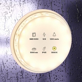 Лента светодиодная Maytoni Led strip 10131 в Нижнем Тагиле - nizhniy-tagil.ok-mebel.com | фото 2