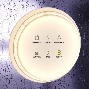 Лента светодиодная Maytoni Led strip 10157 в Нижнем Тагиле - nizhniy-tagil.ok-mebel.com | фото 2
