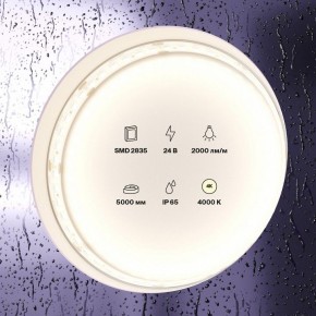 Лента светодиодная Maytoni Led strip 10158 в Нижнем Тагиле - nizhniy-tagil.ok-mebel.com | фото 2