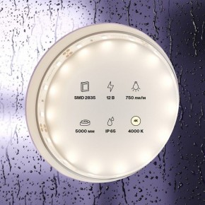 Лента светодиодная Maytoni Led strip 20005 в Нижнем Тагиле - nizhniy-tagil.ok-mebel.com | фото 2
