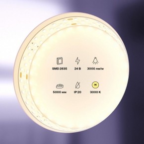 Лента светодиодная Maytoni Led strip 20031 в Нижнем Тагиле - nizhniy-tagil.ok-mebel.com | фото 2