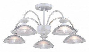 Люстра на штанге Arti Lampadari Noventa Noventa E 1.1.5 W в Нижнем Тагиле - nizhniy-tagil.ok-mebel.com | фото