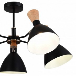 Люстра на штанге EVOLUCE VISTA SLE1256-402-05 в Нижнем Тагиле - nizhniy-tagil.ok-mebel.com | фото 10