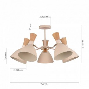 Люстра на штанге EVOLUCE VISTA SLE1256-502-05 в Нижнем Тагиле - nizhniy-tagil.ok-mebel.com | фото 8