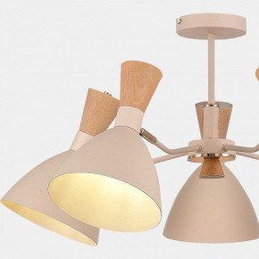 Люстра на штанге EVOLUCE VISTA SLE1256-502-05 в Нижнем Тагиле - nizhniy-tagil.ok-mebel.com | фото 9