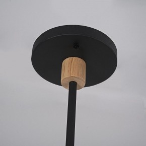 Люстра на штанге Imperiumloft TURNA Black TURNA-DBL01 в Нижнем Тагиле - nizhniy-tagil.ok-mebel.com | фото 9