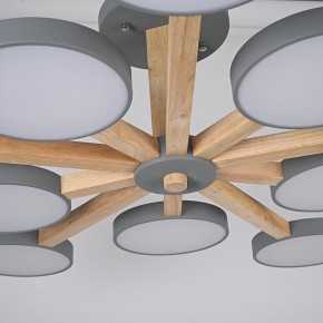 Люстра на штанге Imperiumloft TURNA Gray TURNA-B01 в Нижнем Тагиле - nizhniy-tagil.ok-mebel.com | фото 10