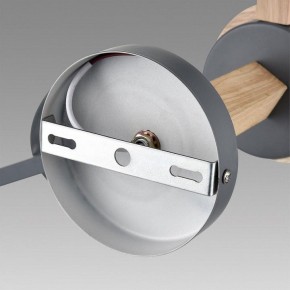 Люстра на штанге Lumion Colange 8096/3C в Нижнем Тагиле - nizhniy-tagil.ok-mebel.com | фото 6